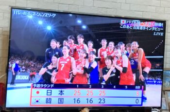 女子バレーボールテレビ観戦
