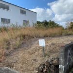 ＜山林＞売地58坪【御坊市】