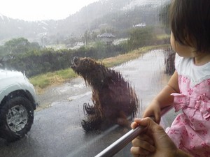 アドベンチャーワールド