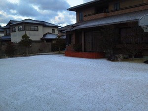 地縄はり