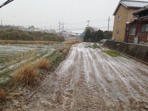 雪、積もる