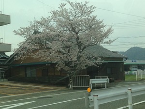 新年度スタート