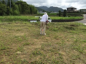 草刈り、そして地縄はり