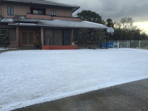 再び積雪