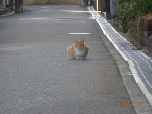 現場にて