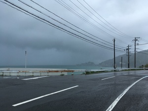 台風一過