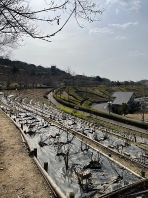 四季の郷公園